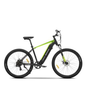 VTC électrique Argento Performance