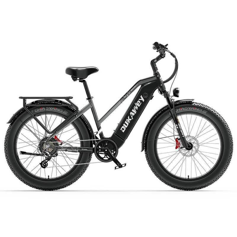 VTC électrique Dukawey DM530 Plus 1000W 26" – Image 10