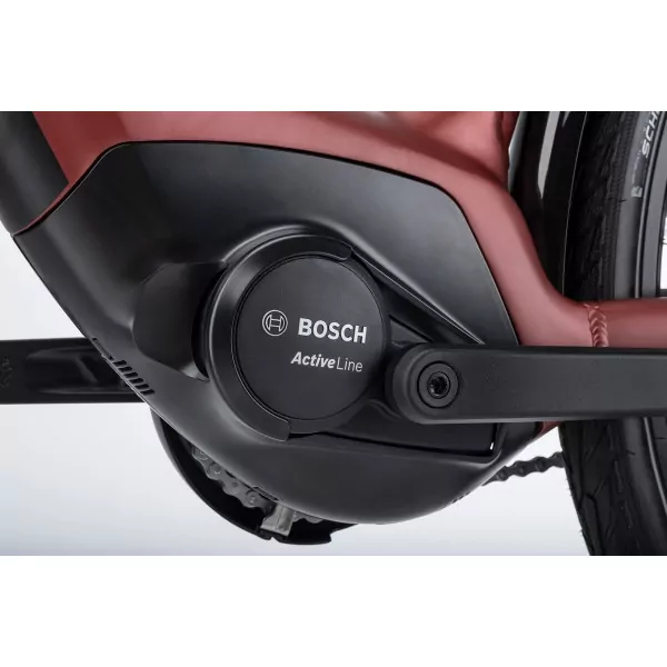 Vélo électrique Winora Tria N8 eco – Image 3